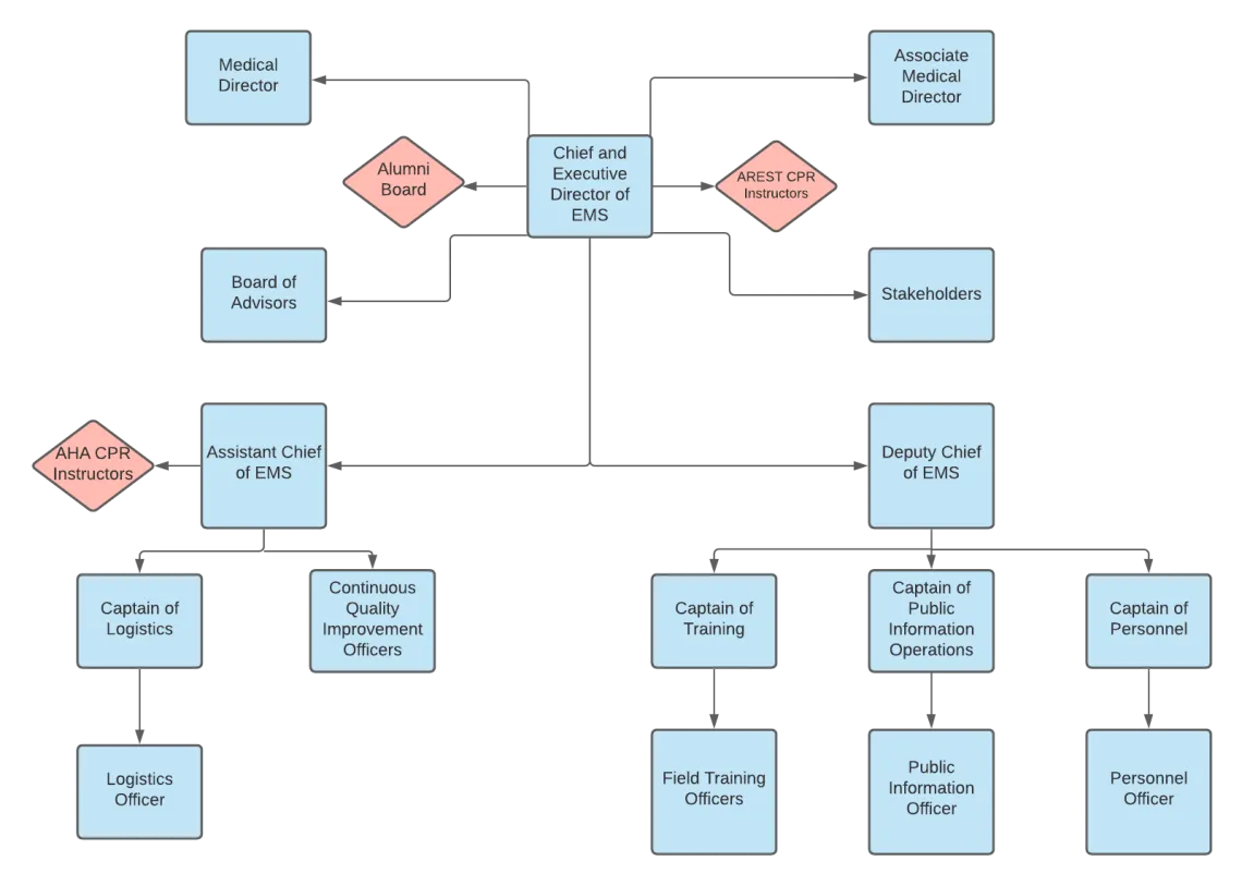 UAEMS Hierarchy 